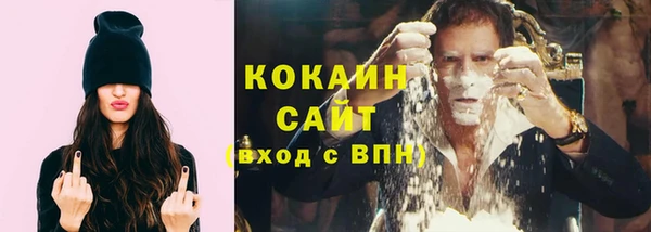 шишки Беломорск