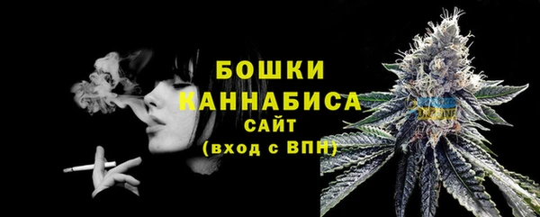 шишки Беломорск