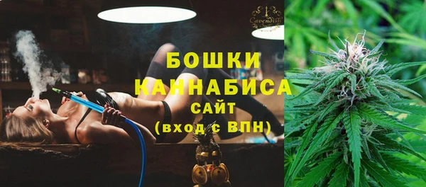 шишки Беломорск