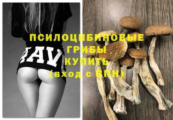 шишки Беломорск