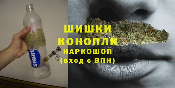 шишки Беломорск