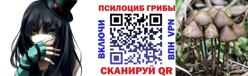 Псилоцибиновые грибы Cubensis  наркота  Верещагино 